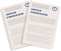 PICTO-160-cartes grises